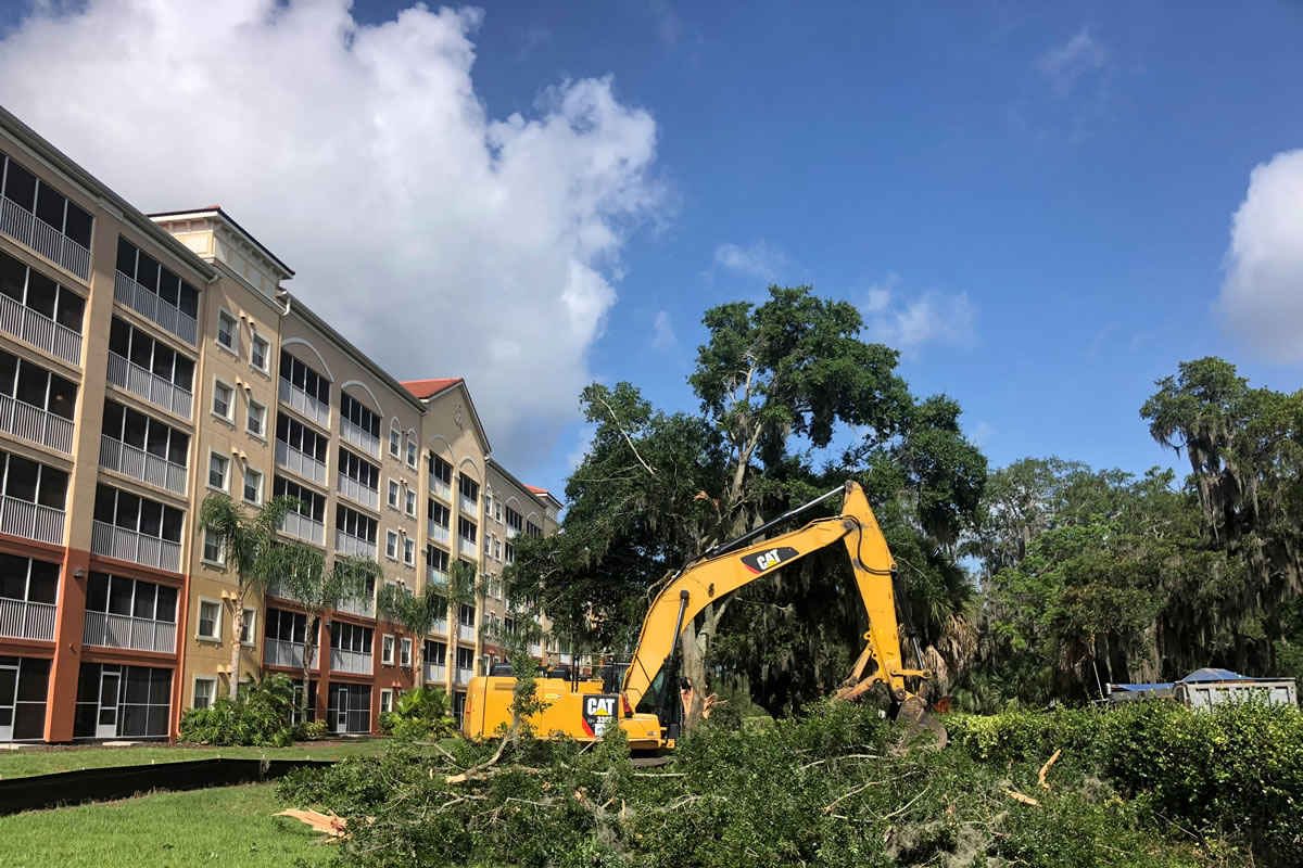 Four Benefits of Land Clearing in Oviedo