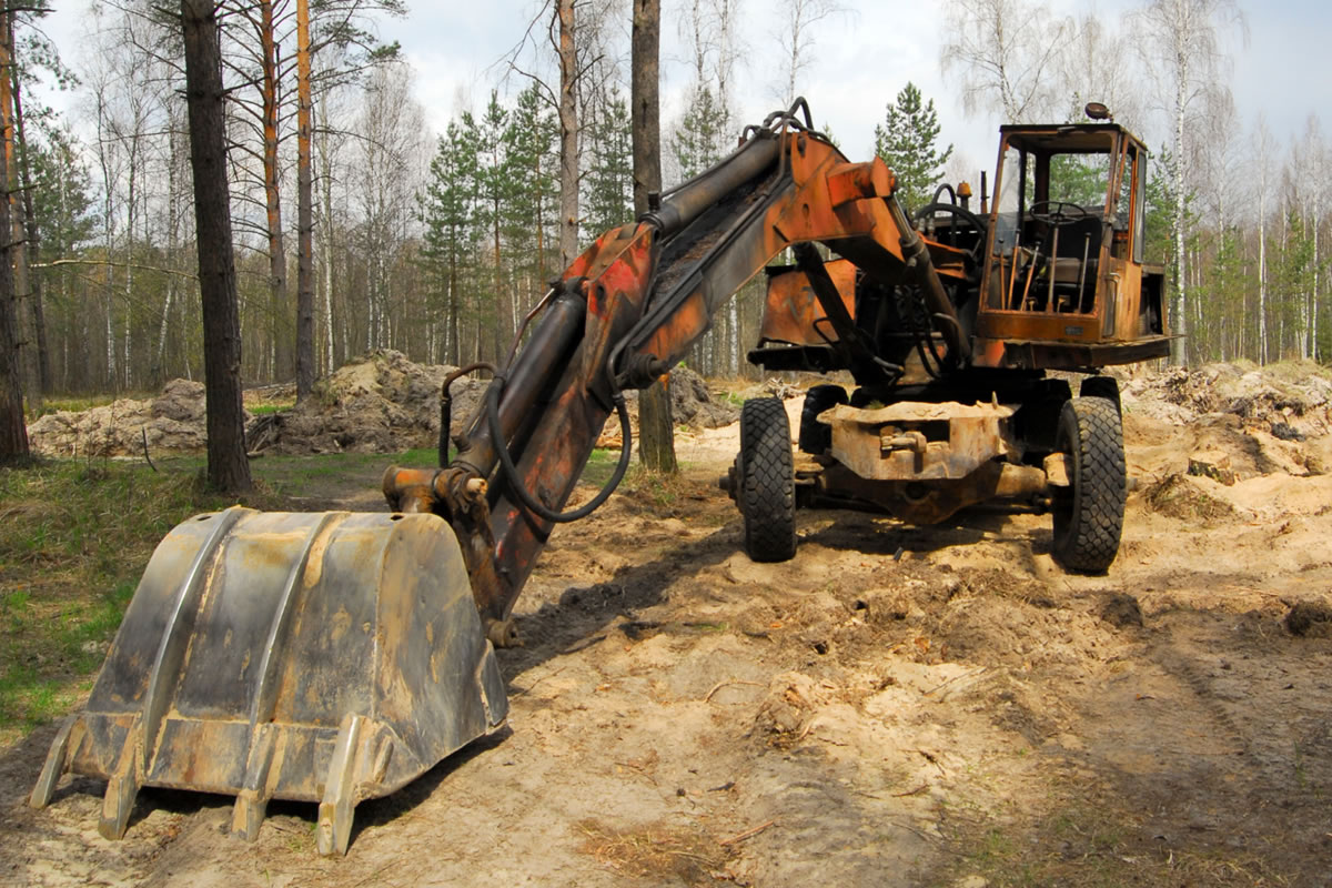 Six Great Reasons to Clear Your Land