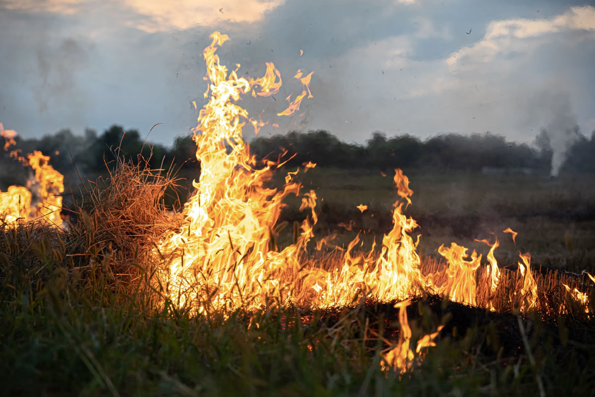 Three Standard Land Clearing Methods