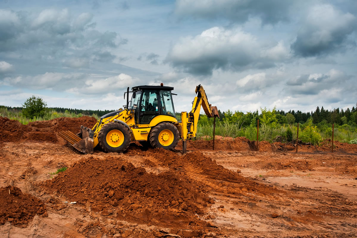 Reasons You May Need a Land Clearing Professional