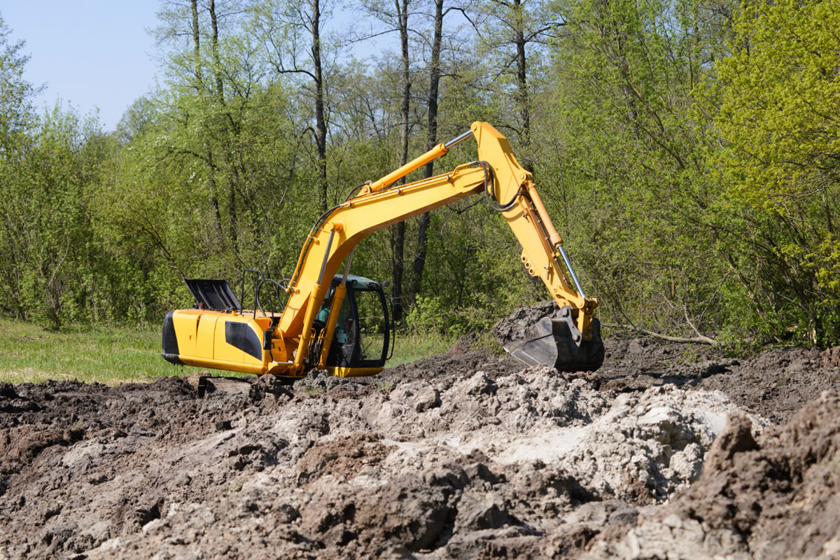 Four Reasons to Trust Land Clearing Professionals