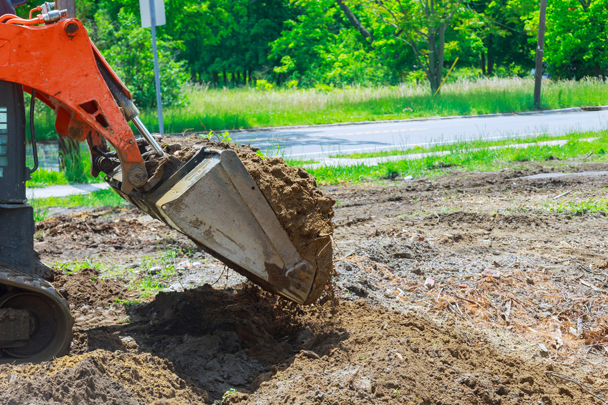 What You Need to Know About Land Clearing Services
