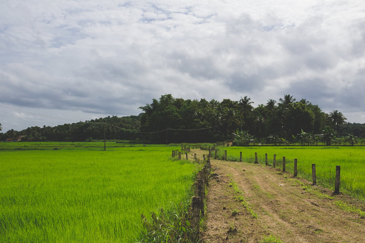 The Many Ways You Could Use Your Land