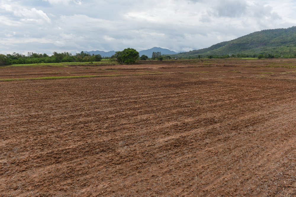 Common Mistakes to Avoid When Purchasing Raw Land