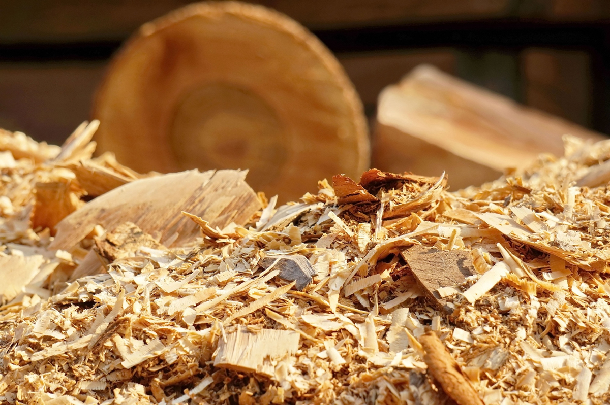 The Ins and Outs of Stump Grinding
