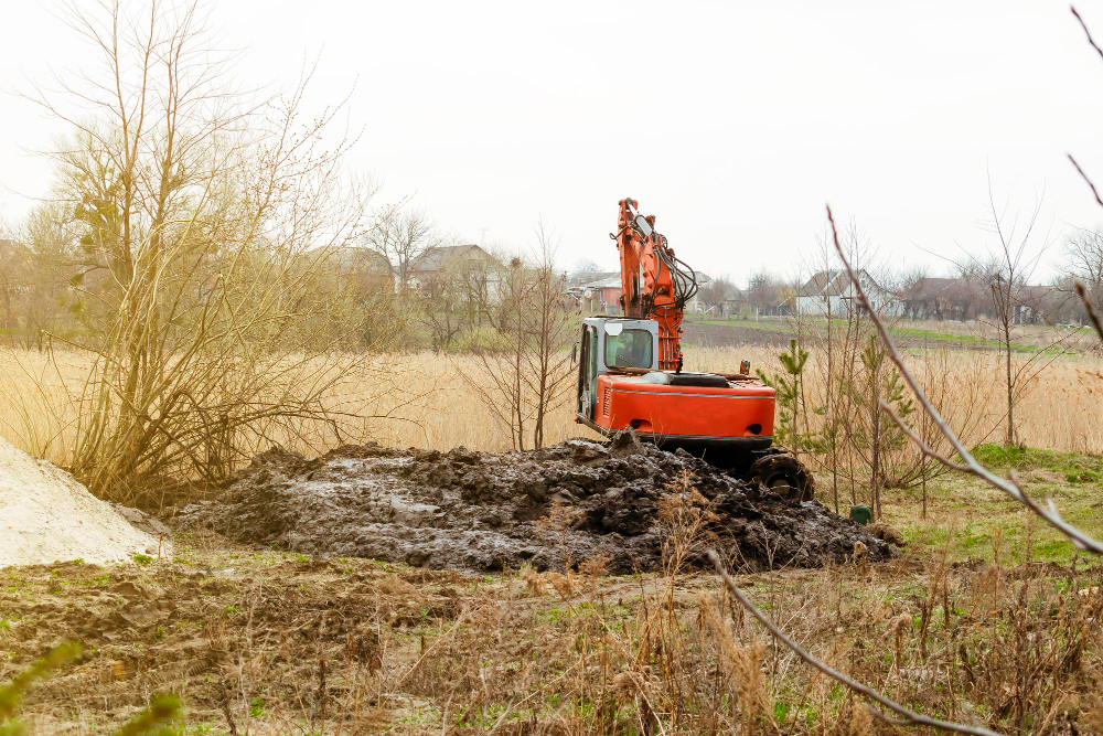 The Ultimate Guide to Stump Grinding