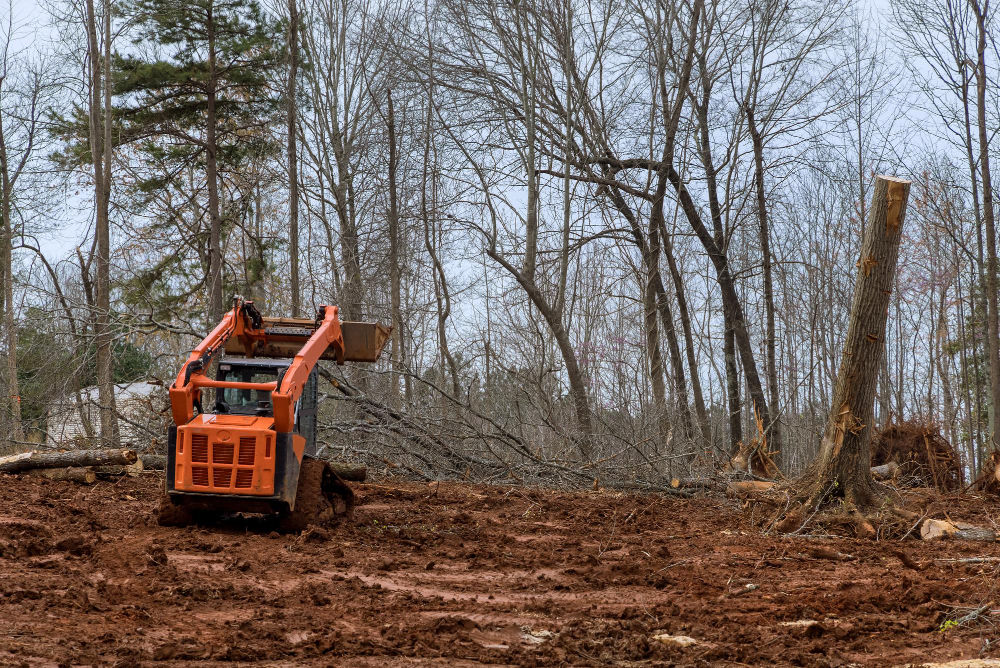 Mastering Overgrown Land: The Definitive Guide to Property Clearing