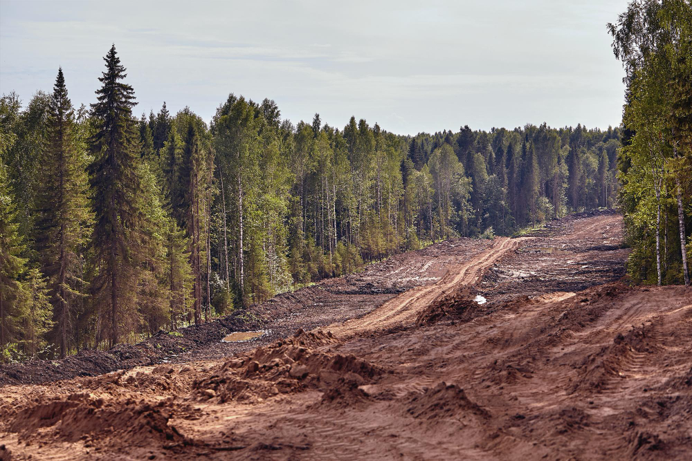 Mastering Land Clearing Tactics