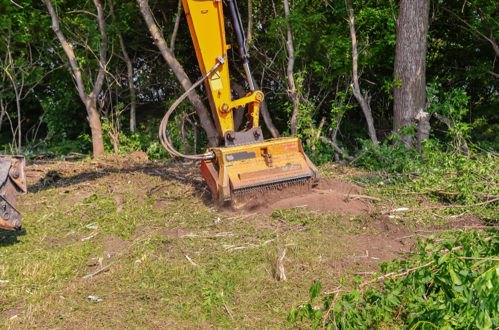 The Ultimate Guide to Cutting Down and Mulching Trees for Sustainable Land Clearing