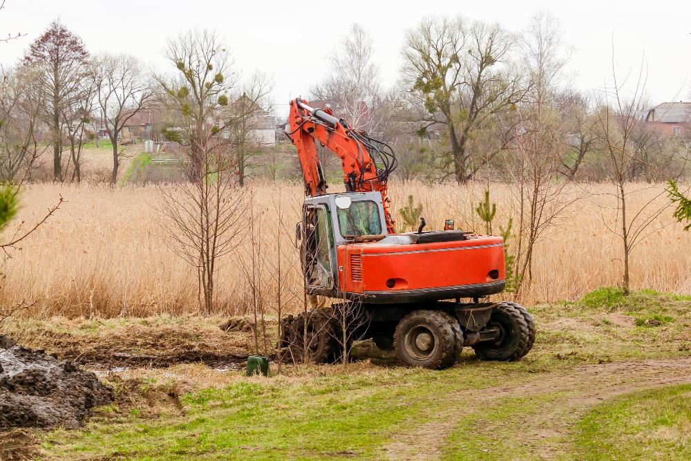 Tackling Invasive Plants and Trees for Efficient Land Clearing in Sanford, FL