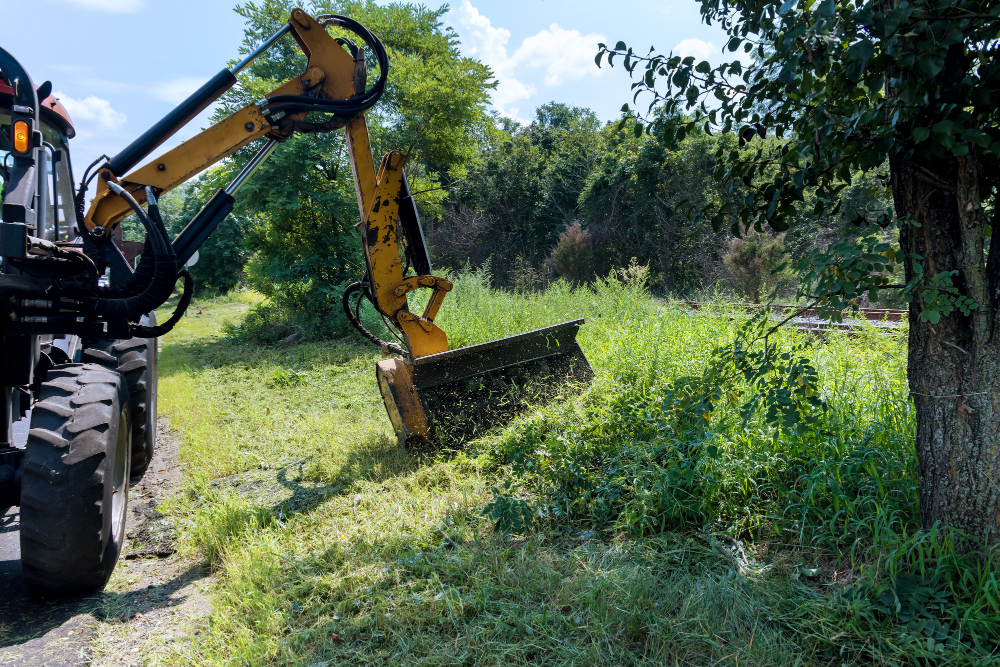 Vegetation Management Along Roads and Right-of-Ways