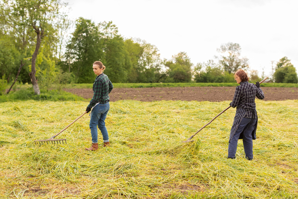 Importance of Farm Vegetation Management