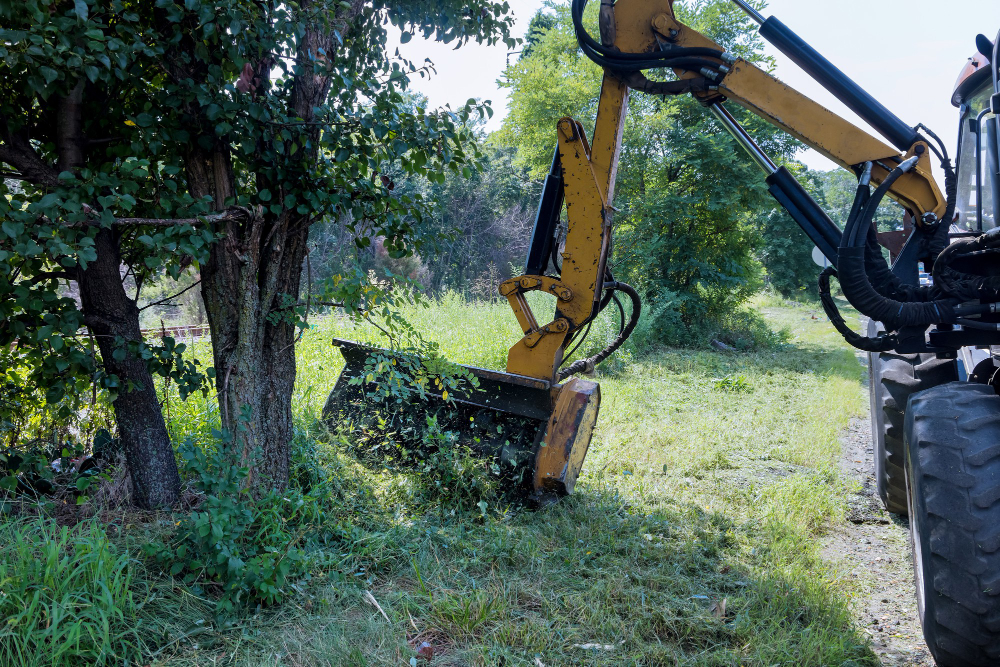 What is Land Clearing and Why is it Necessary