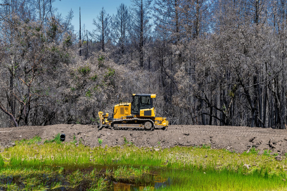 Expert Tips to Prevent Costly Land Clearing Delays