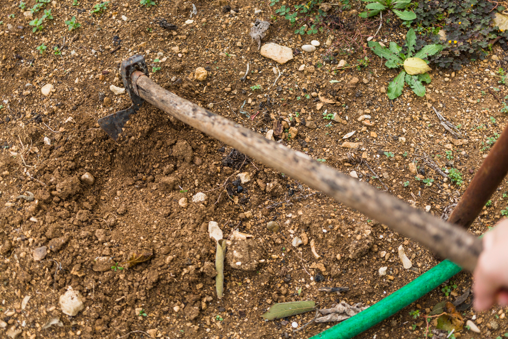 Costly DIY Land Clearing Mistakes Every Homeowner Should Avoid
