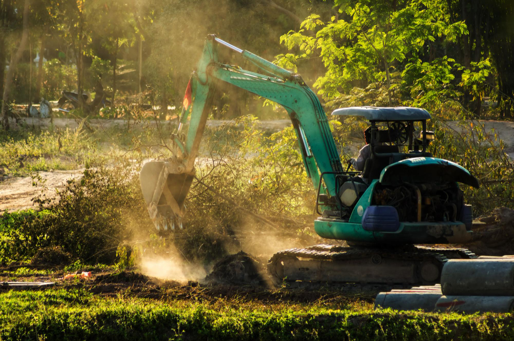Your Ultimate Guide to Choosing the Right Land Clearing Service