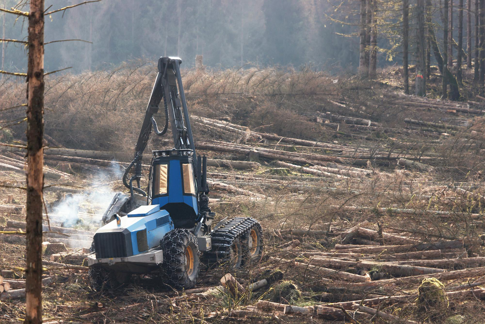 How Weather Affects Land Clearing Projects