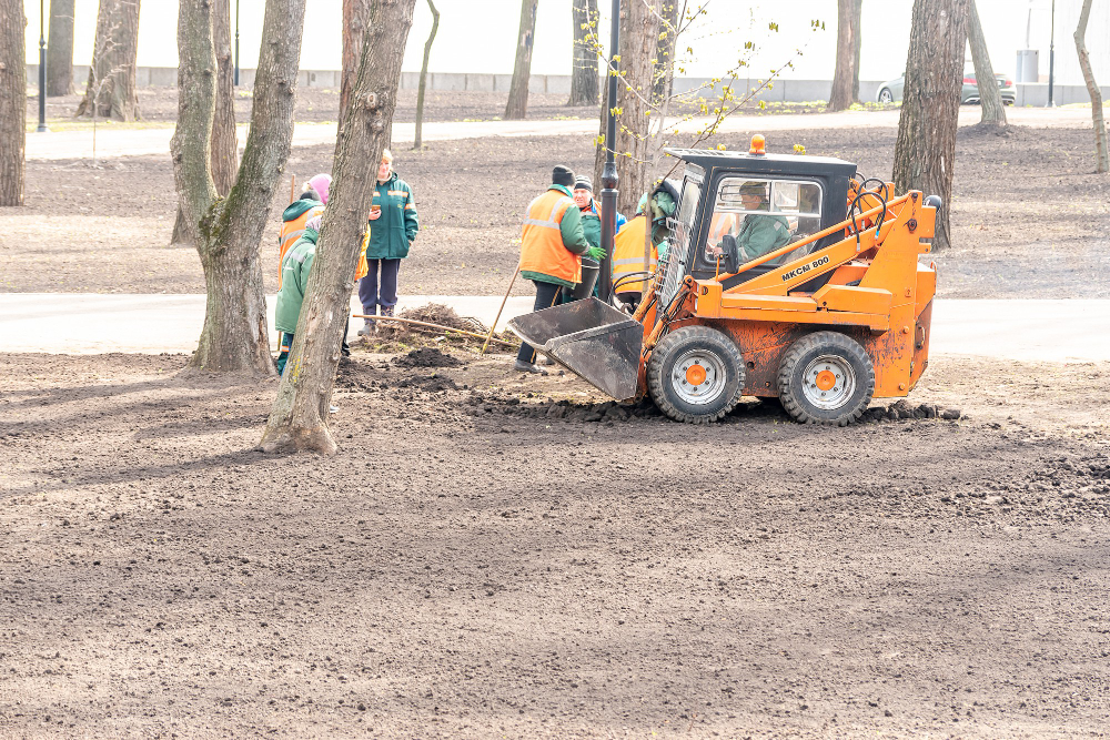 Exploring Different Types of Land Clearing