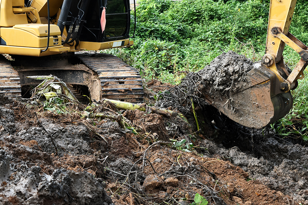 Your Complete Guide in Land Clearing