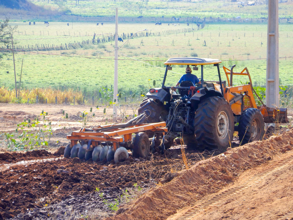 Can You Clear Your Own Land in Florida? What Developers Need to Know