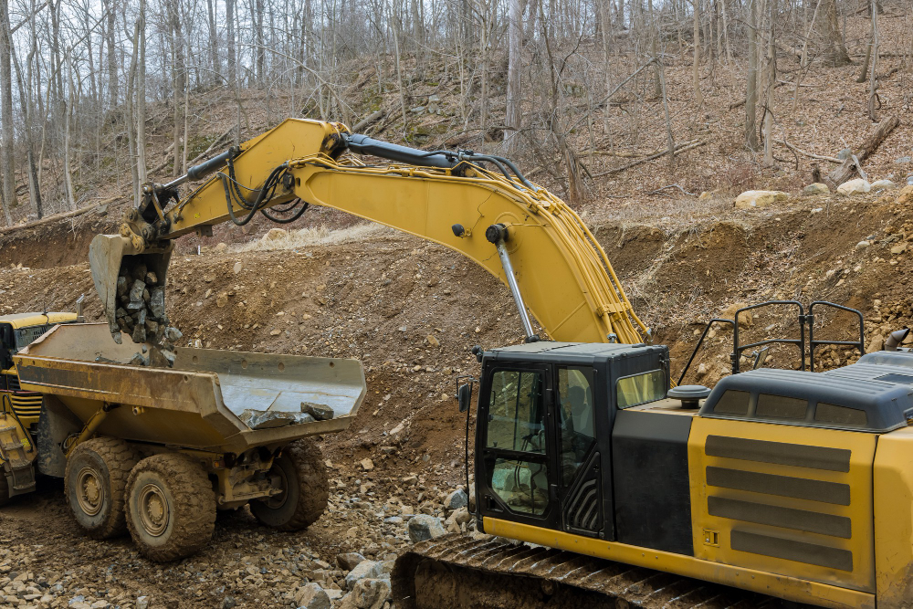 Land Reclamation in Florida: Turning Potential Into Productivity