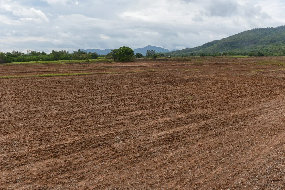 Common Mistakes to Avoid When Purchasing Raw Land