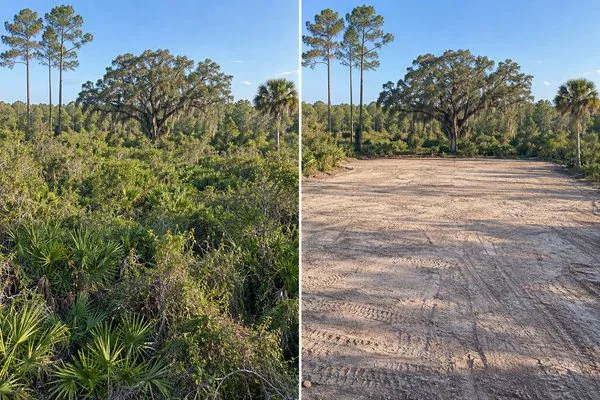 Side-by-side views of an overgrown lot before clearing and the same site cleared and graded for development.