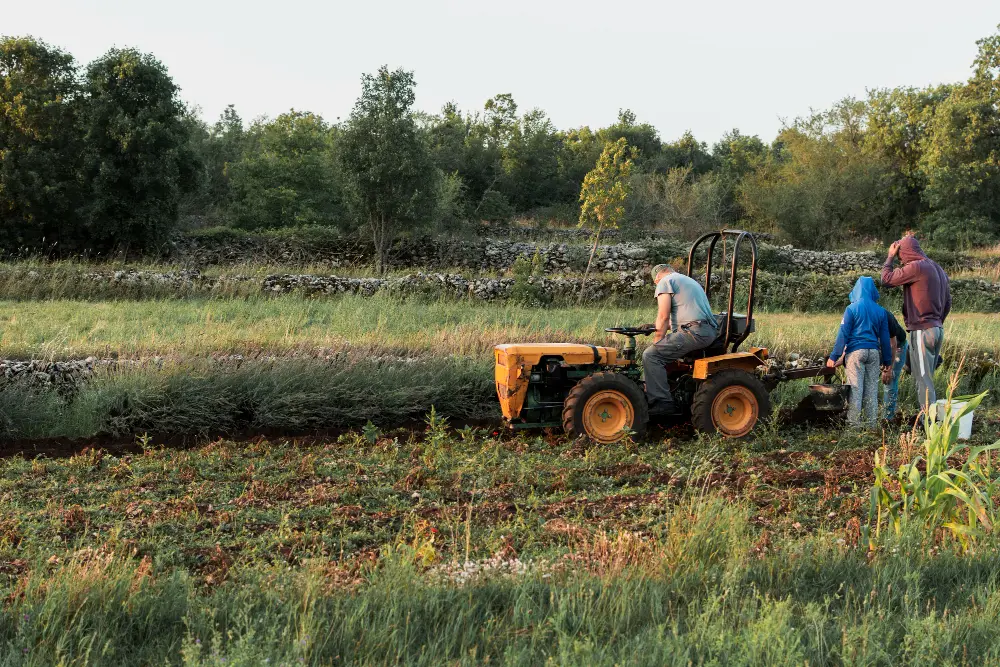 The Role of Land Clearing in Agriculture and Landscaping