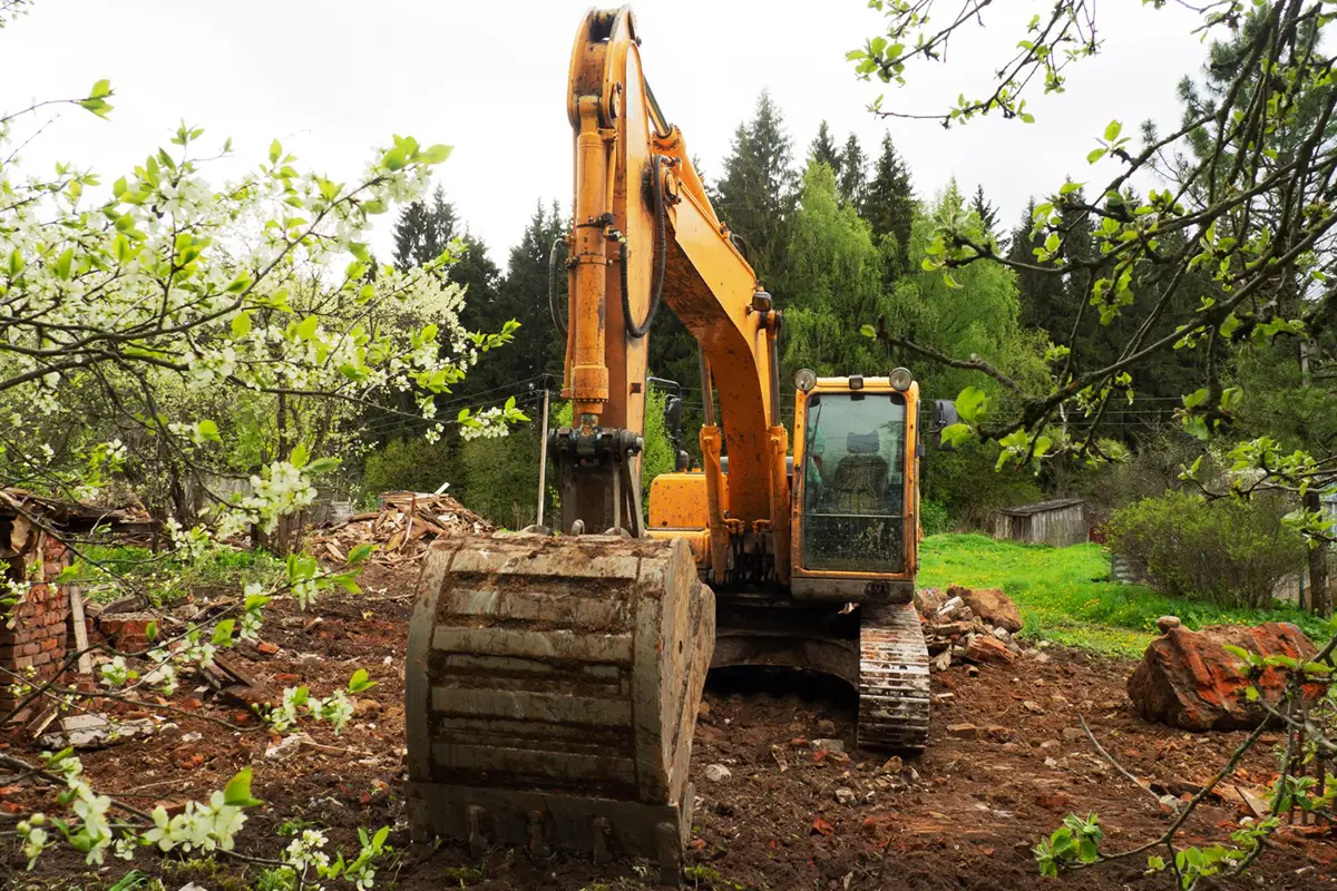 The Ultimate Guide on How to Increase the Value of Your Lot