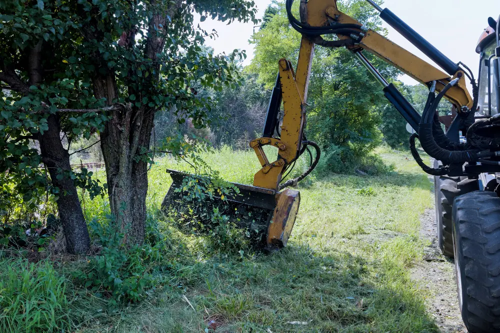 What is Land Clearing and Why is it Necessary