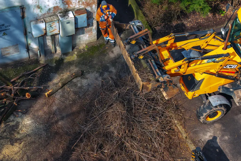 Maximizing Your Property: The Benefits of Professional Land Clearing