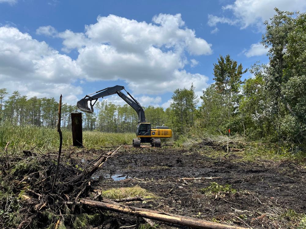 Land clearing service in Florida